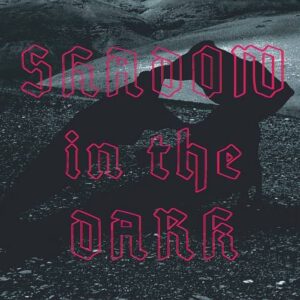 NNHMN – Shadow In The Dark (2020)