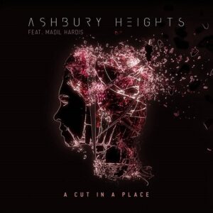 Ashbury Heights feat. Madil Hardis – A Cut in a Place (Single) (2022)
