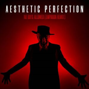 Aesthetic Perfection – No Boys Allowed (Empirion Remix) (2020)