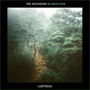 Ladytron – The Mountain (Blakkat Dub) (2021)