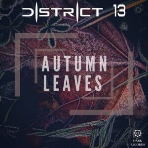 District 13 – Autumn Leaves (Single) (2021)