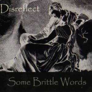 Disreflect – Some Brittle Words (2010)