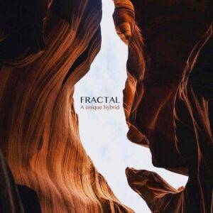 Fractal – A unique hybrid (2021)
