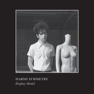 Harsh Symmetry – Display Model (2022)