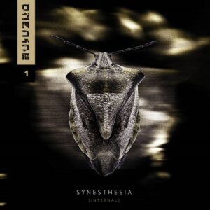 onenine – SYNESTHESIA [INTERNAL] (2022)