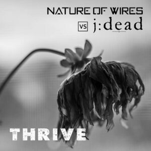 Nature of Wires vs j:dead – Thrive (Single) (2022)