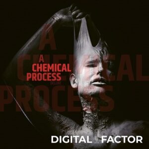 Digital Factor – A Chemical Process (2021)