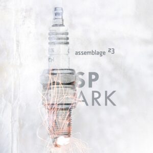 Assemblage 23 – Spark (Single) (2009)