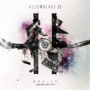Assemblage 23 – Bruise (Limited Edition) (2012)