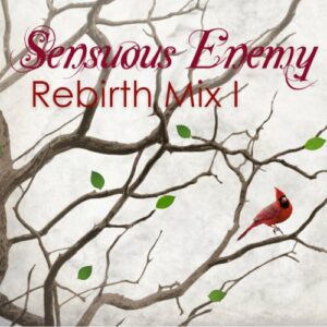 Sensuous Enemy – Rebirth Mix 1 (2023)