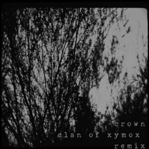 Lesson Seven & Clan Of Xymox – Crown (Clan Of Xymox Remix) (2020)